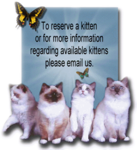 available_kittens