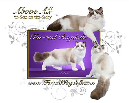 furreal ragdoll